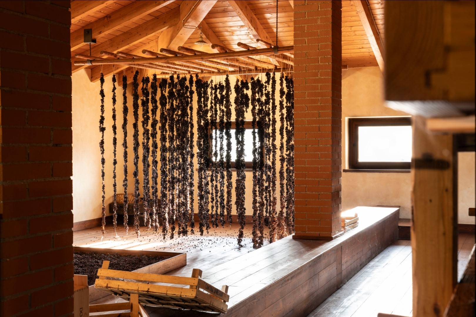 Classic - Cantina Valpolicella Negrar - Winalist
