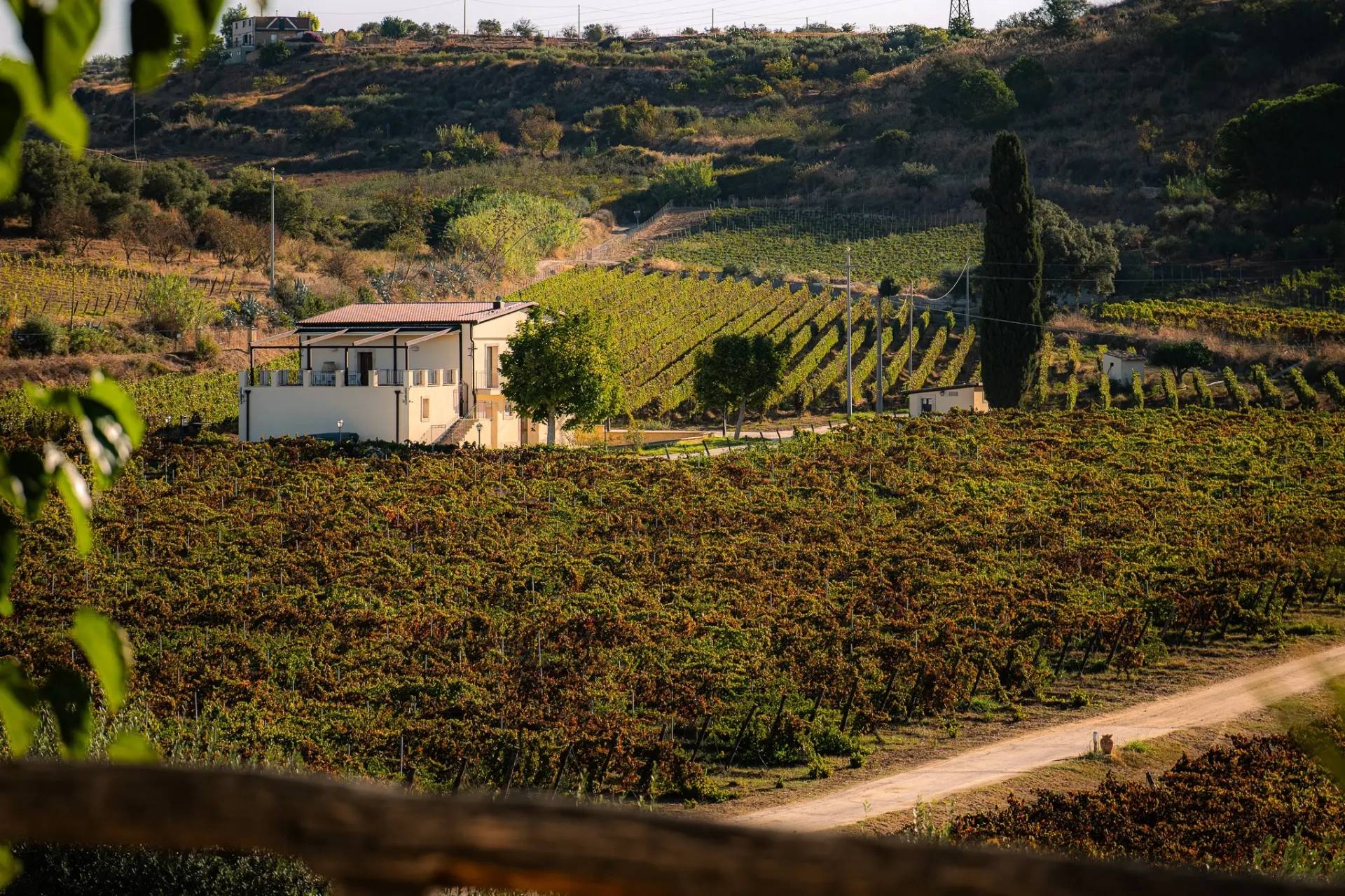 Tenuta Valle delle Ferle - Winalist