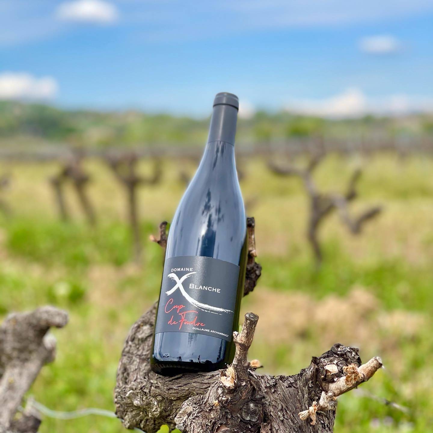 nSoaYMmAOWDv.jpeg?twic=v1/