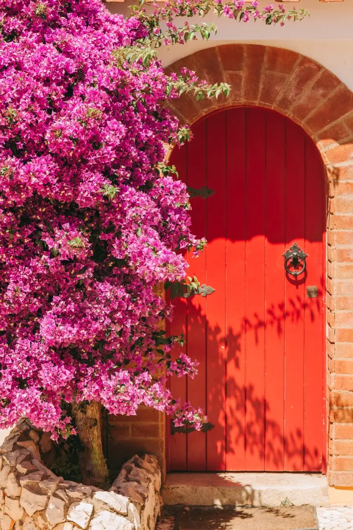 Villa Alvor - Winalist