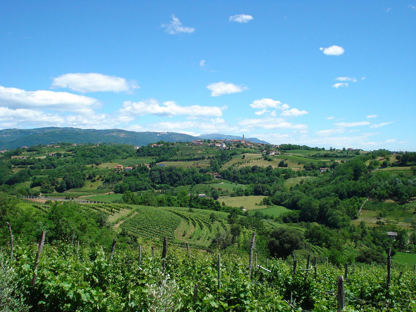 things to do in vicenza - Best Things to Do in Vicenza: Your Complete Travel Guide - 2025 - 15