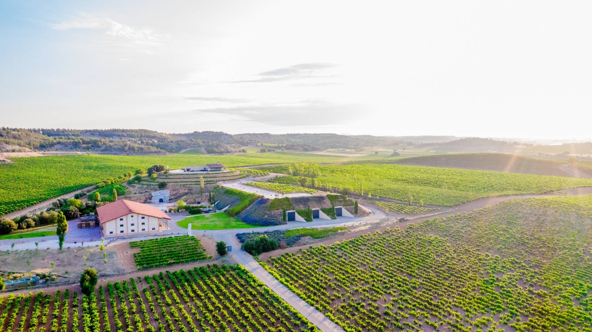 Bodegas Valduero - Winalist