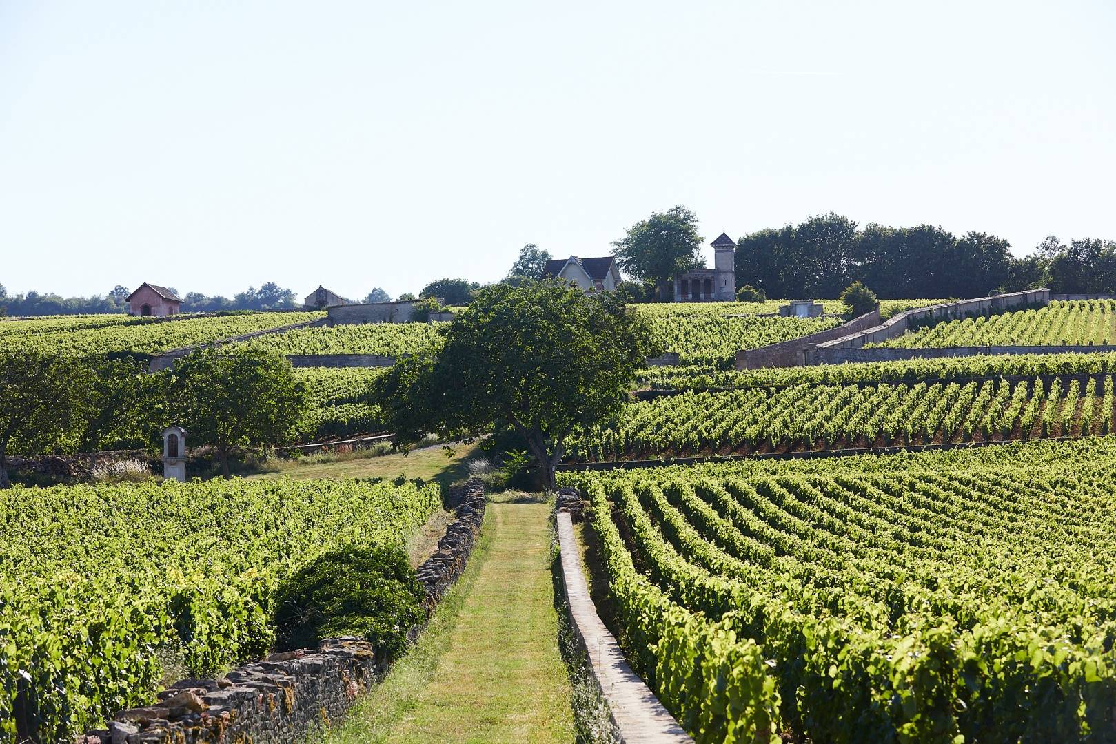 Best Things to do in Burgundy, Places & Villages to Visit - 2026 - 12 - - Best Things to do in Burgundy, Places & Villages to Visit - 2026 - 11