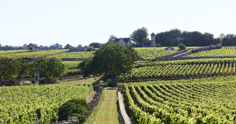 Château de Pommard Wine Tasting Tour special moments in Burgundy France.