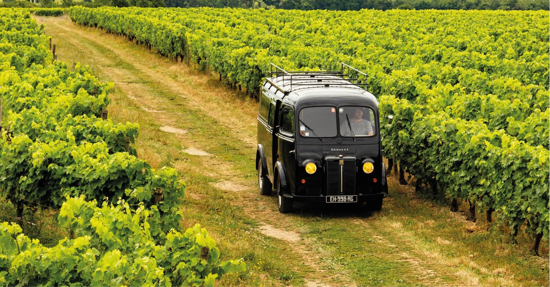 Bourgoin Cognac - Winalist