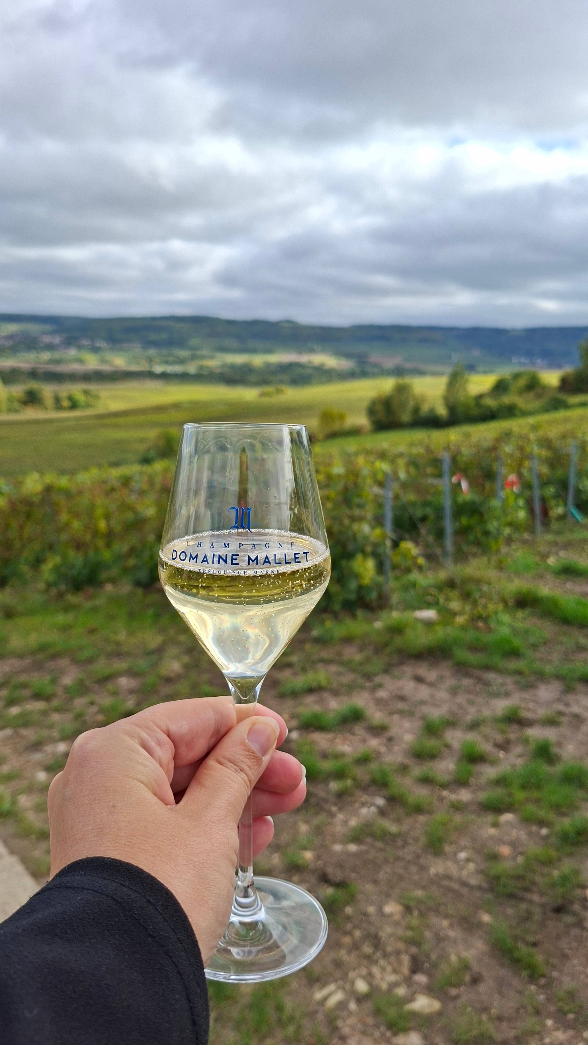 Visite du vignoble en 4x4 et dégustation dans les vignes 