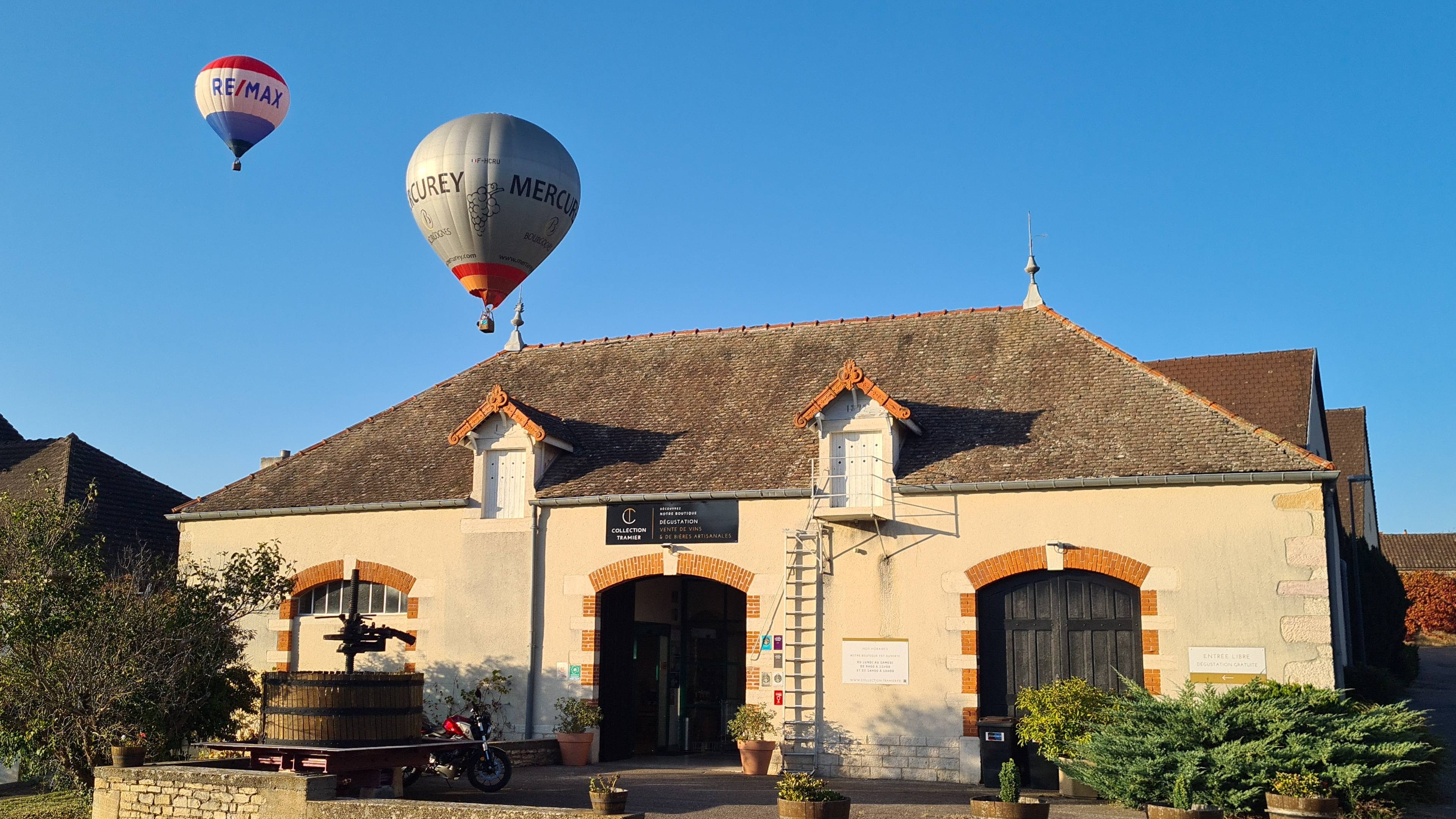 Esplorazione dei vitigni della Borgogna