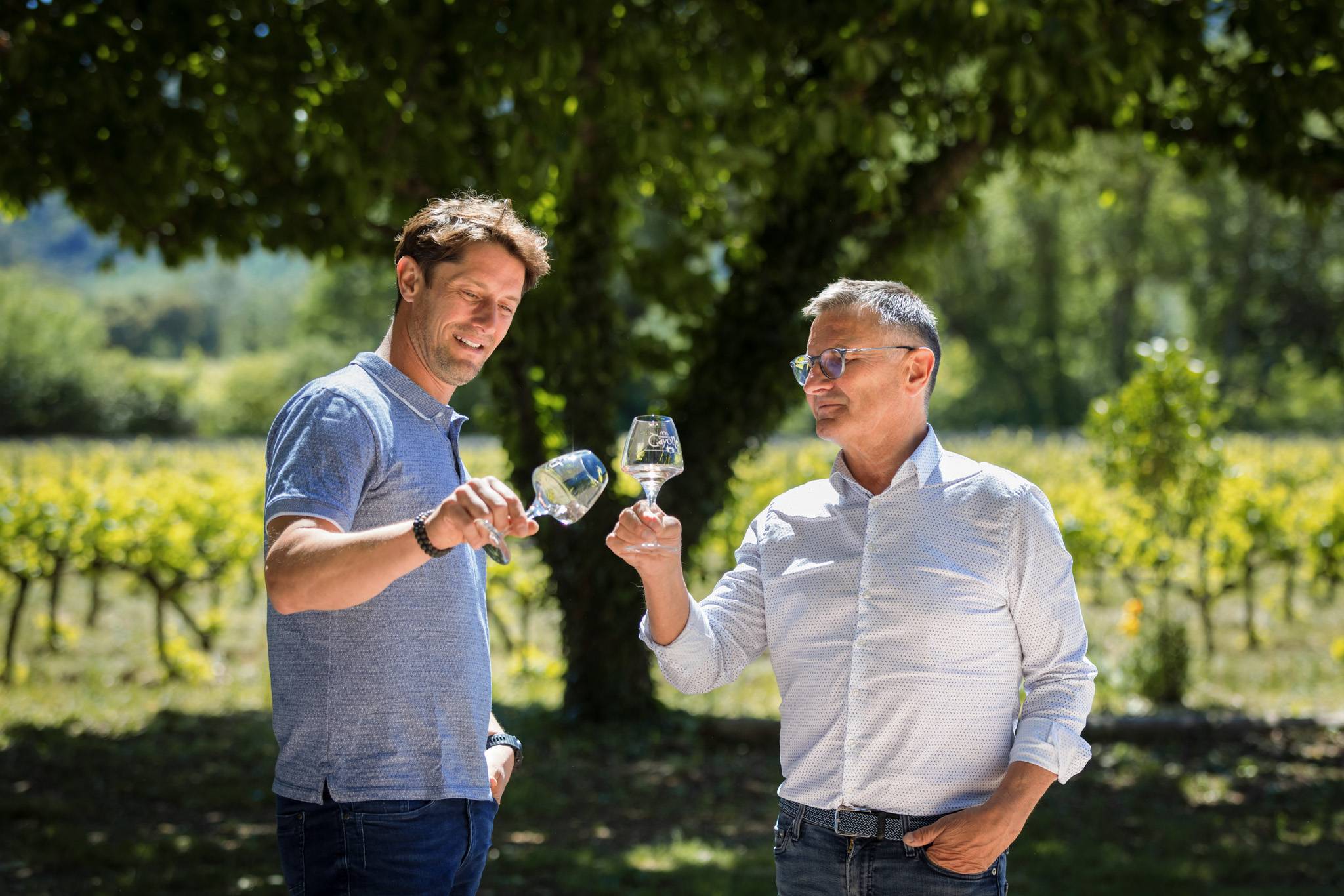 Domaine La Gayolle ⭐️ Tour, Reviews, Price - 2025