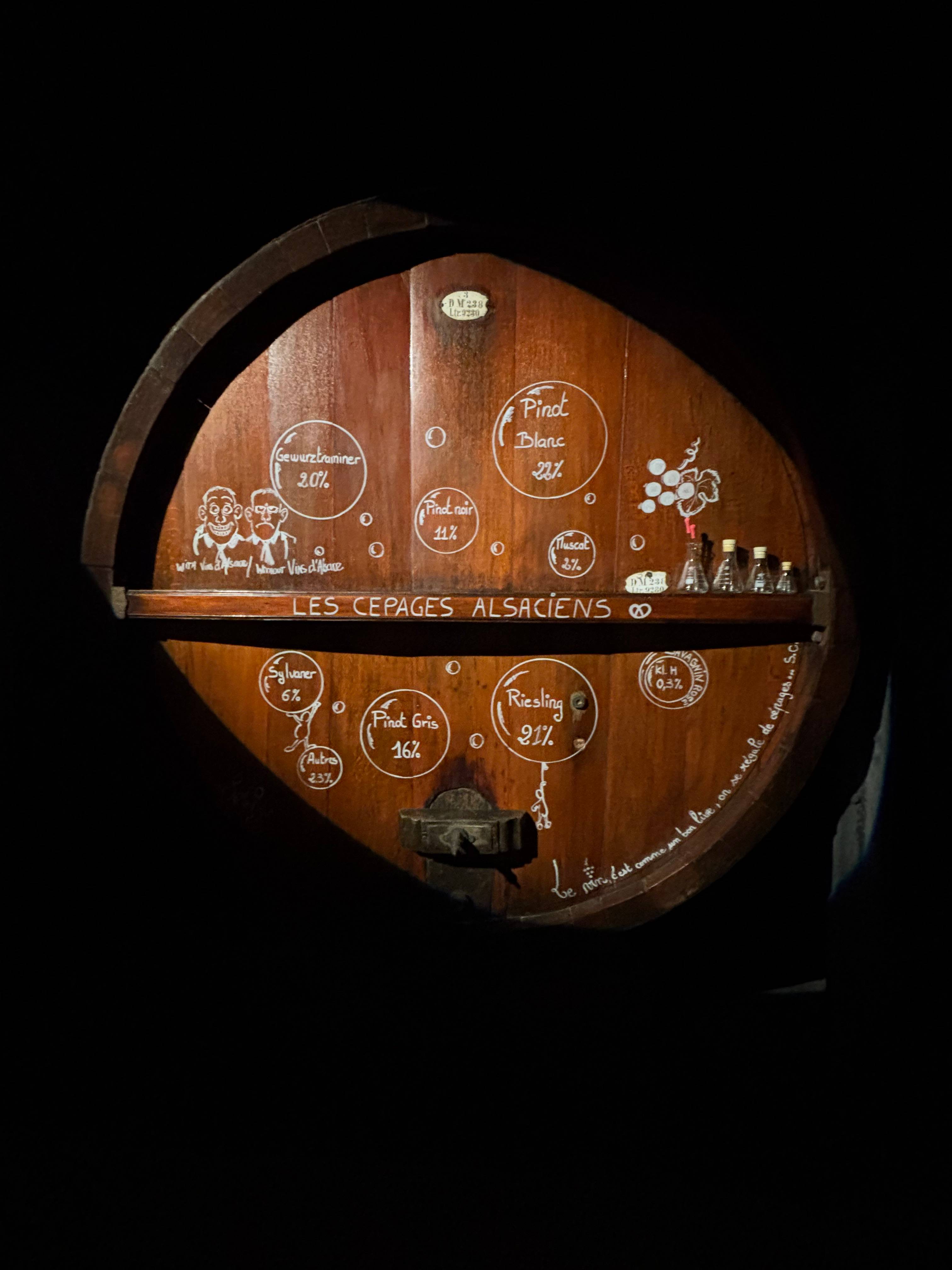Cellar visit and gourmet wine (Tea Time Vin)