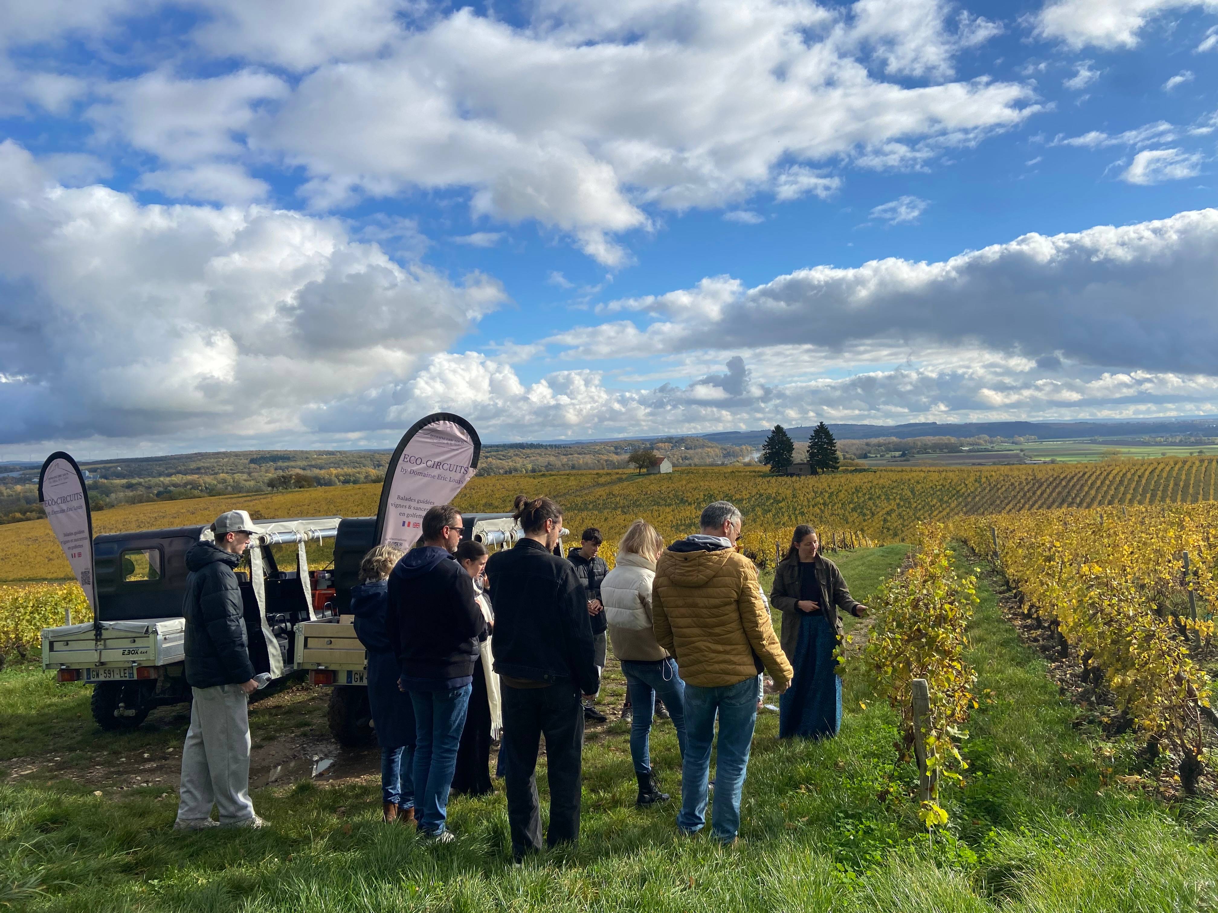 Eco-tour of the Sancerre terroirs