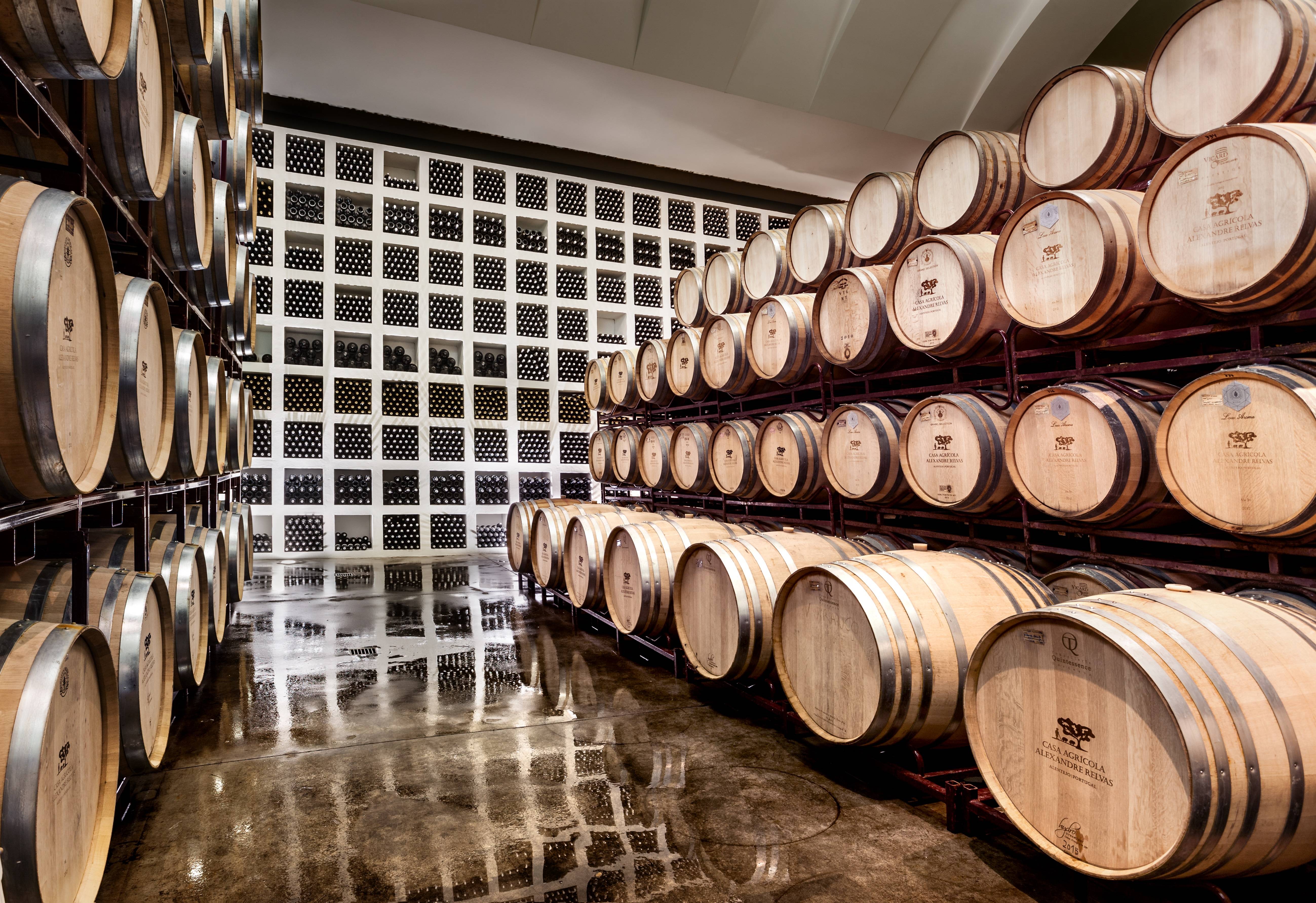 Visita à Adega + Prova de 5 vinhos,azeites e tapas - Casa Relvas - Winalist