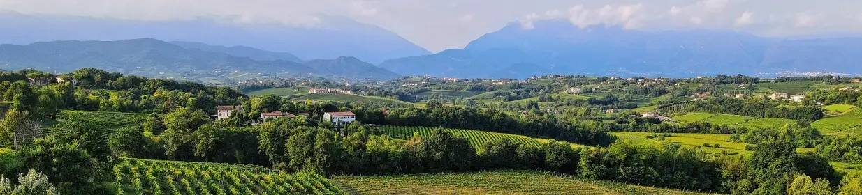 Mani Sagge - Winalist