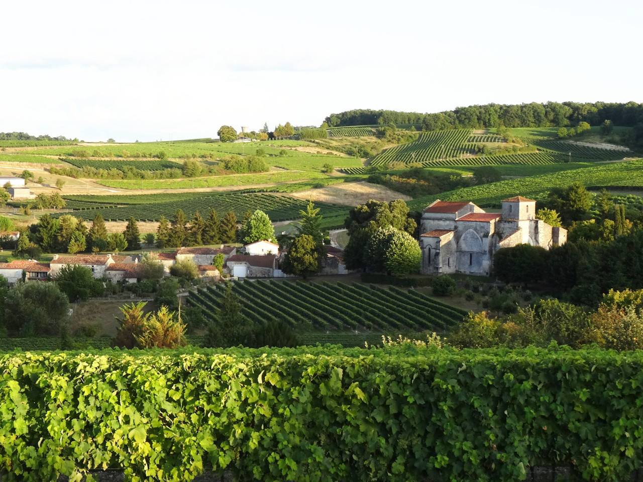 Cognac Tasting Tour  - Winalist