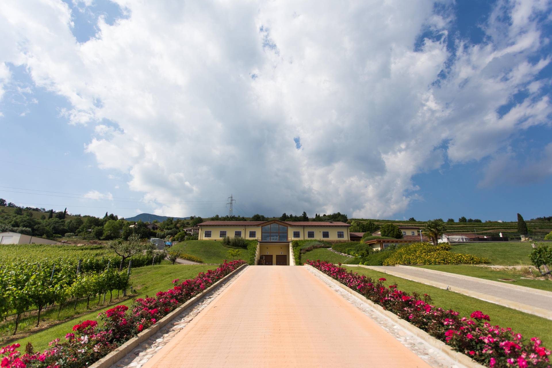 Monte Zovo - Winalist