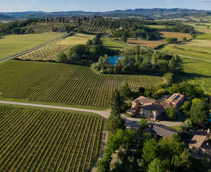 Chianti Wine Tours Tastings ⭐️ Best Wineries 2025