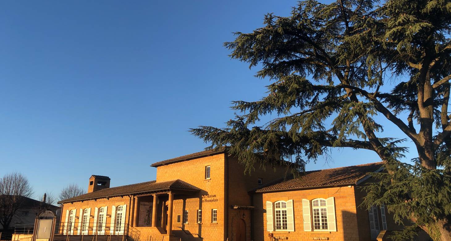 Beaujolais Wine Map: Guide to the Crus, Vineyards and Appellations - 2026 - 35 - beaujolais wine route,beaujolais wine map beaujolais wine route,beaujolais wine map - Beaujolais Wine Map: Guide to the Crus, Vineyards and Appellations - 2026 - 34