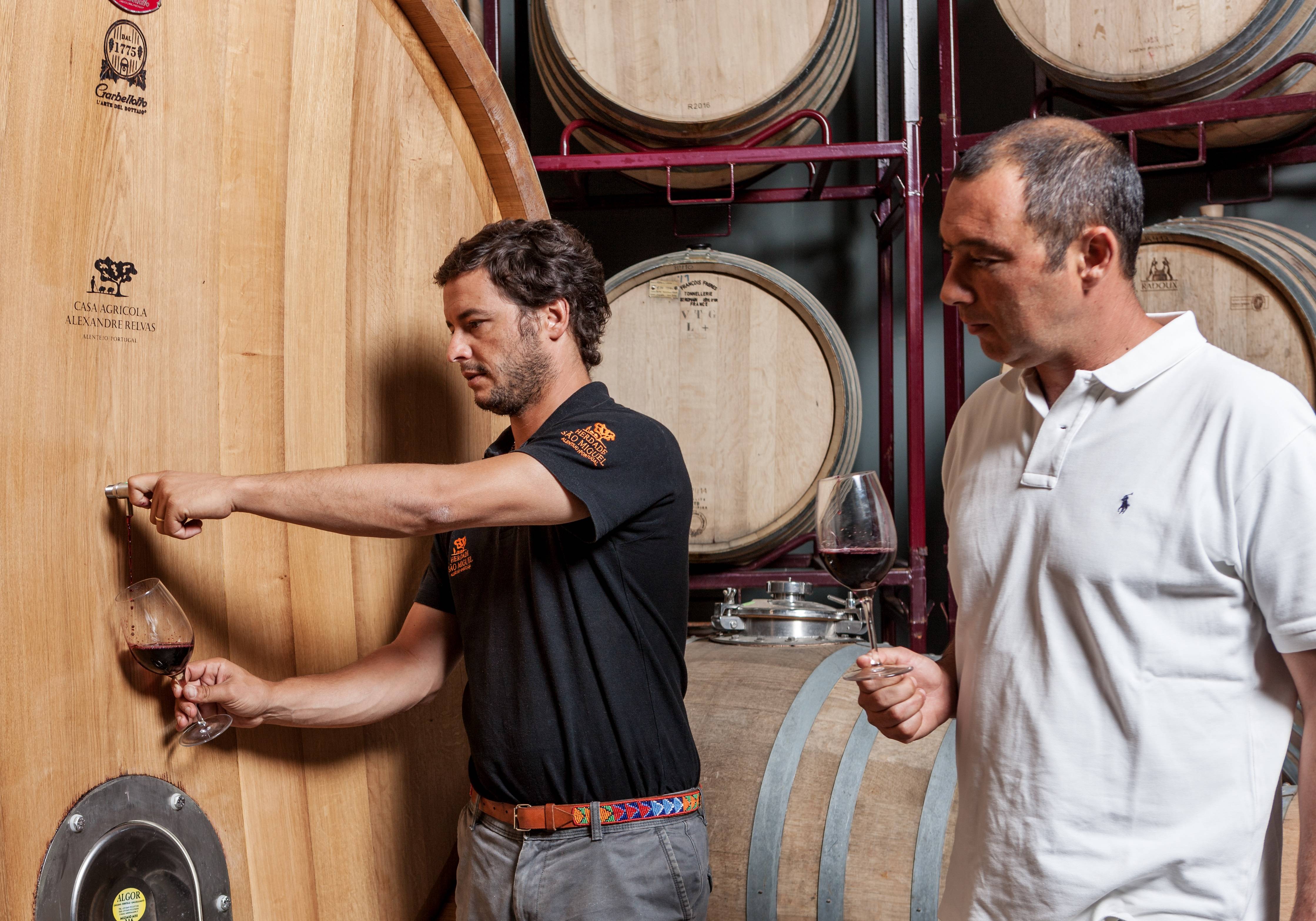 Visita alla cantina con degustazione di vitigni portoghesi