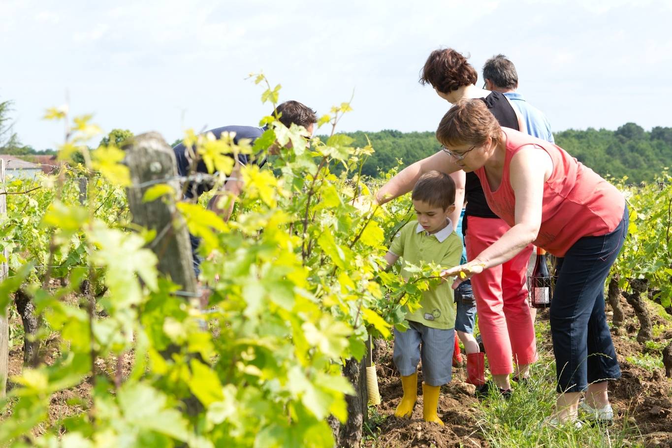 Route des vins Touraine : Découvrir les vins de Loire et ses vignobles - 2026 - 37 - route des vins touraine route des vins touraine - Route des vins Touraine : Découvrir les vins de Loire et ses vignobles - 2026 - 36