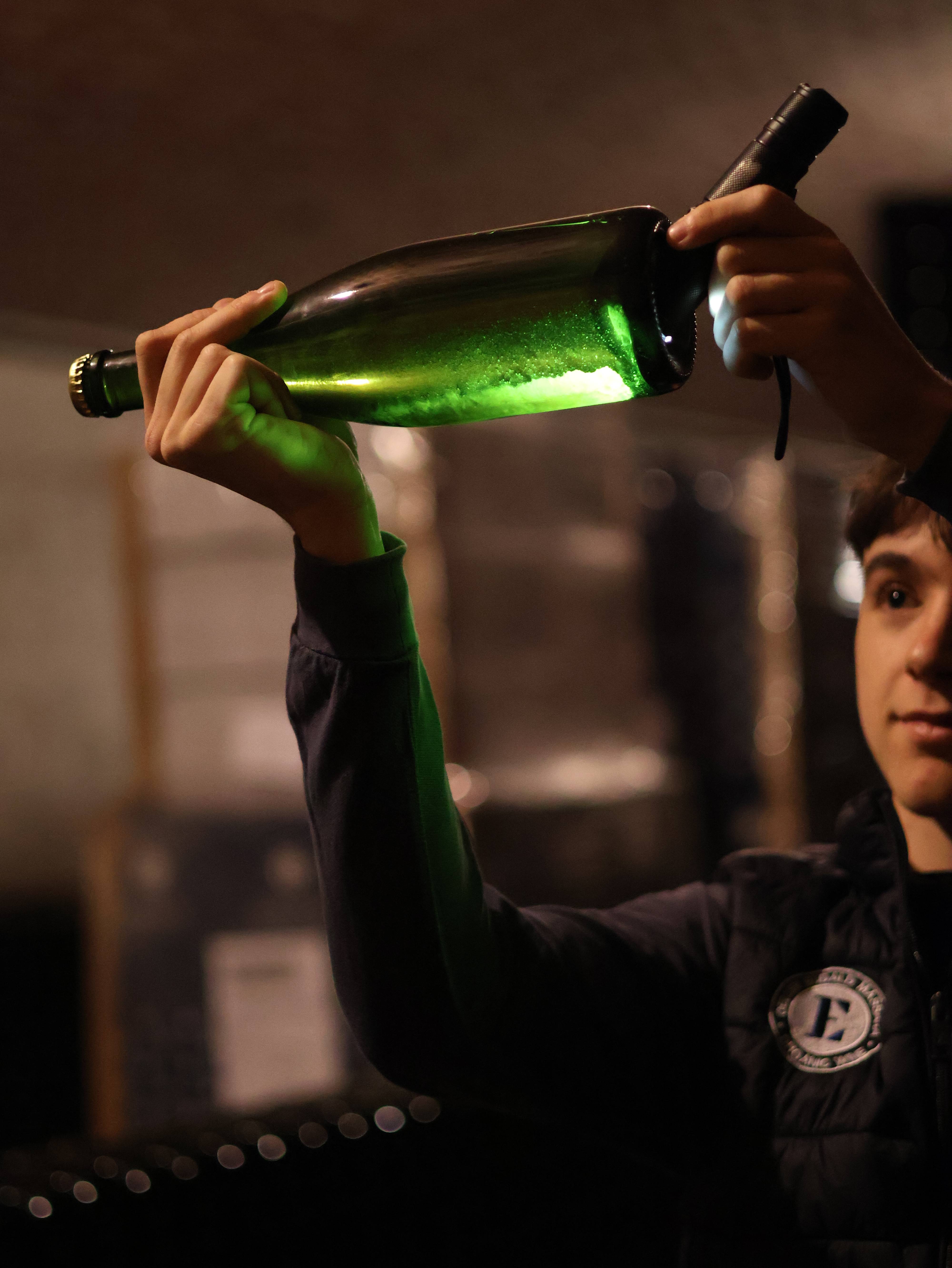 All the colors of the vineyard