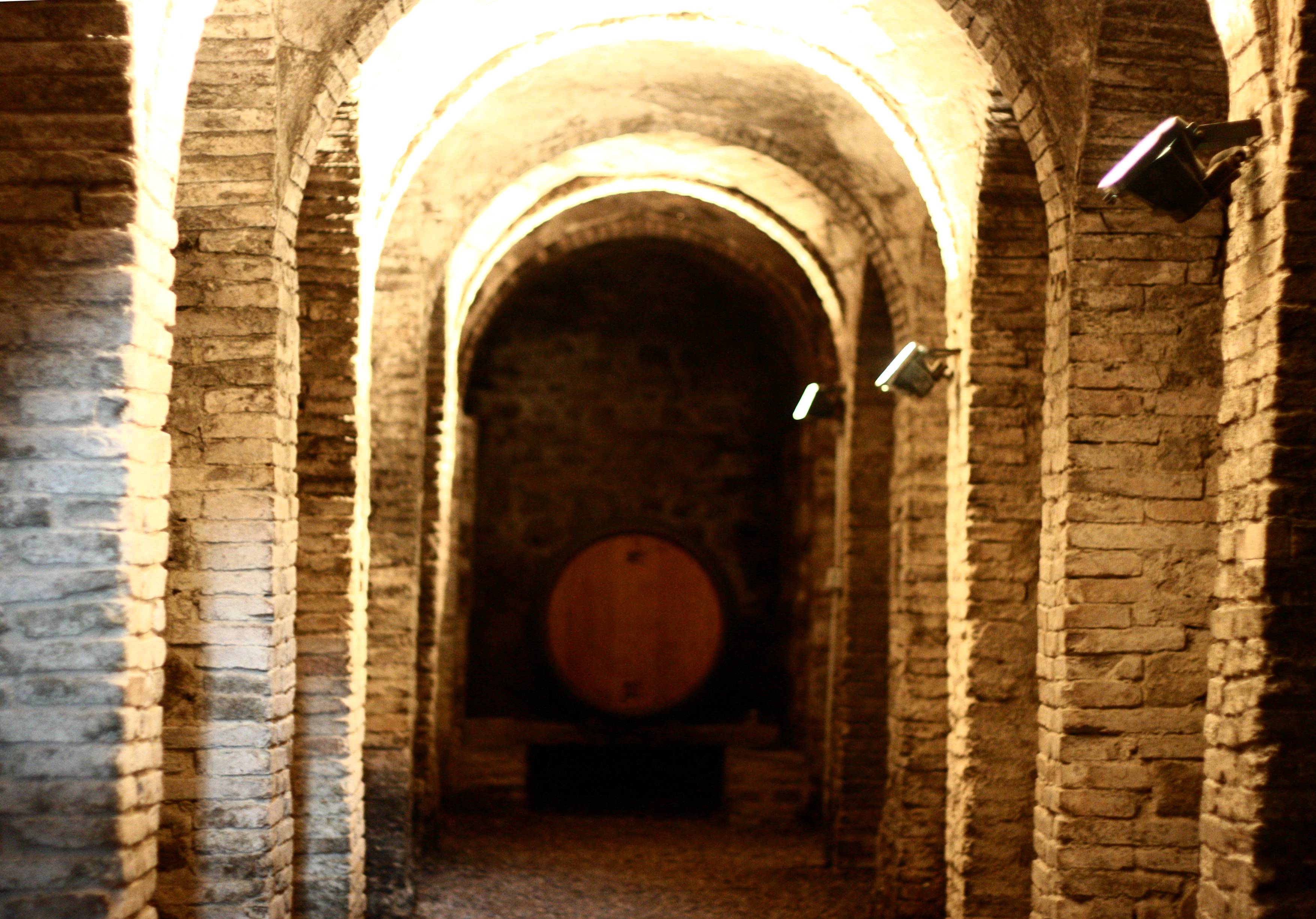 Experience - Tasting of 3 wines