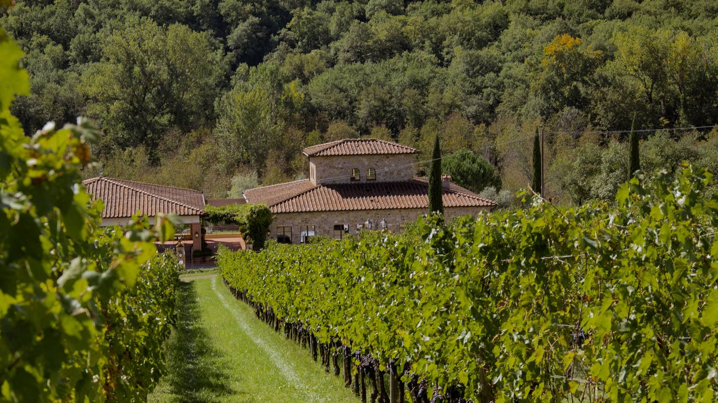 Your Ultimate Guide to Getting from San Gimignano to Florence - 2025 - 20 - san gimignano to florence san gimignano to florence - Your Ultimate Guide to Getting from San Gimignano to Florence - 2025 - 19