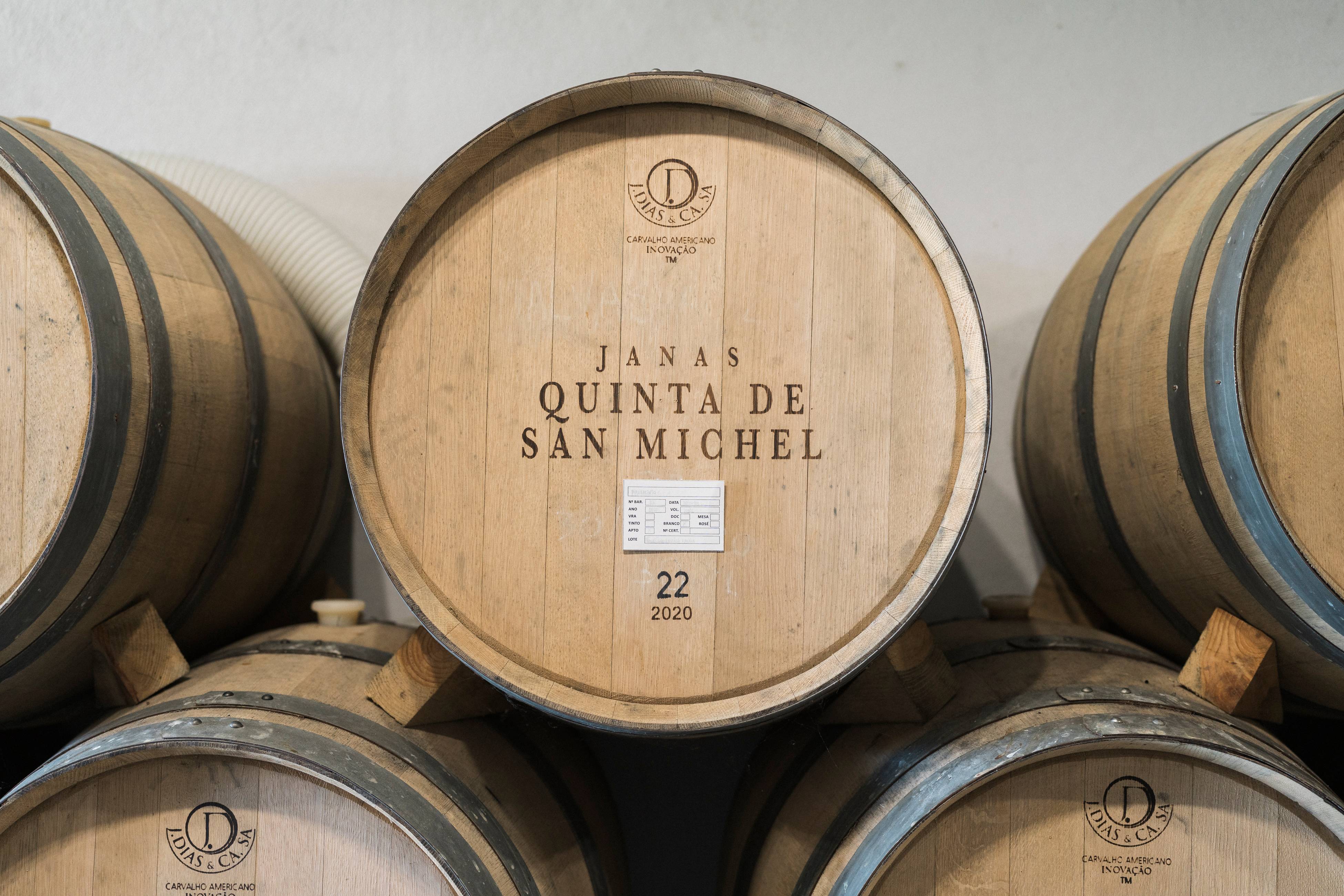 Visit and Wine Tasting Trilogia San Michel