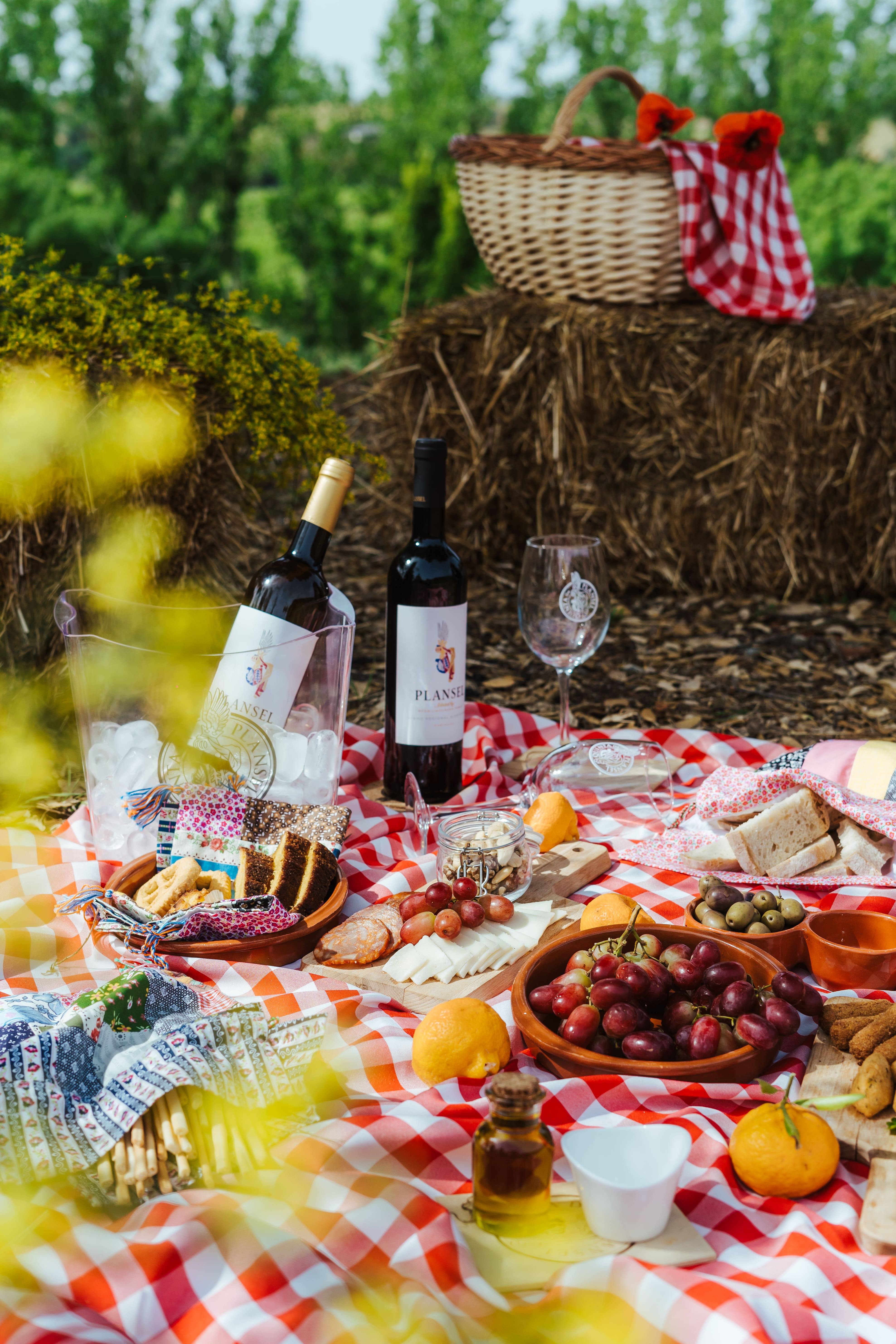 Programma Esclusivo di Vendemmia - Quinta Da Plansel - Winalist