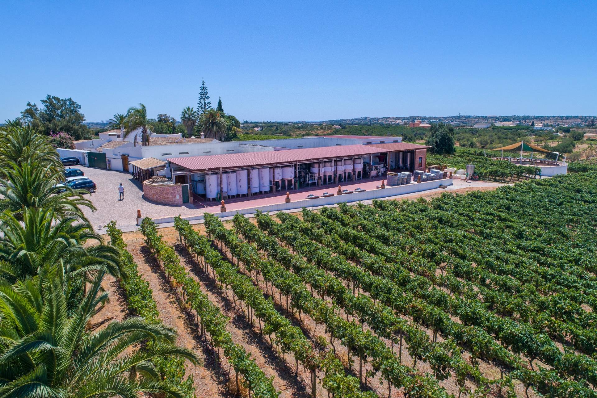 Adega do Cantor - Winalist