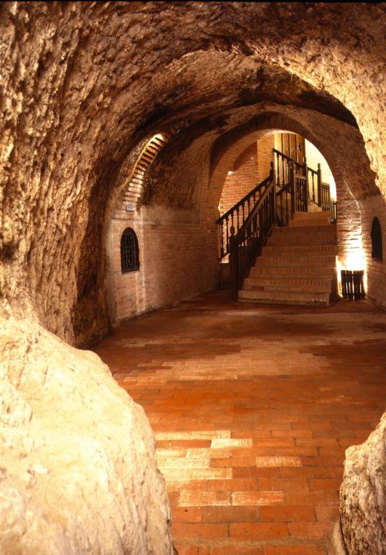 Bodegas Mocén - Winalist