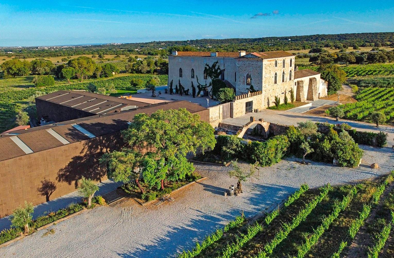 Fita Preta - Winalist