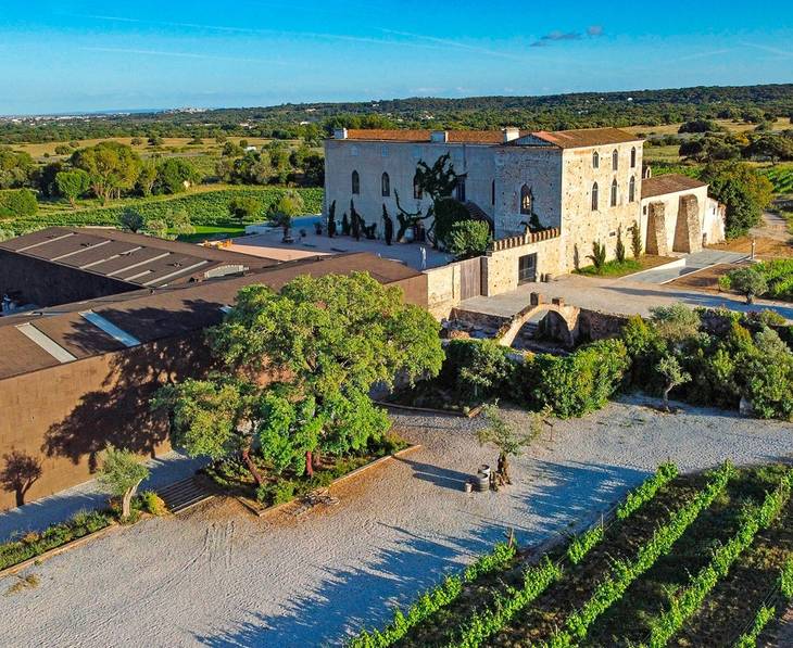 Evora Wine Tours Tastings ⭐️ BEST Wineries 2025