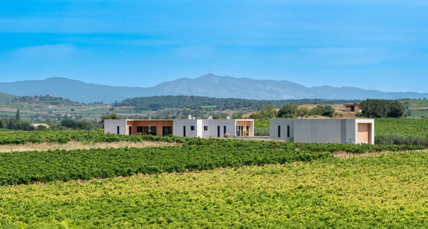 Que faire à Pézenas : visiter l'Hérault et ses incontournables - 2026 - 7 - que faire à Pézenas que faire à Pézenas - Que faire à Pézenas : visiter l'Hérault et ses incontournables - 2026 - 6