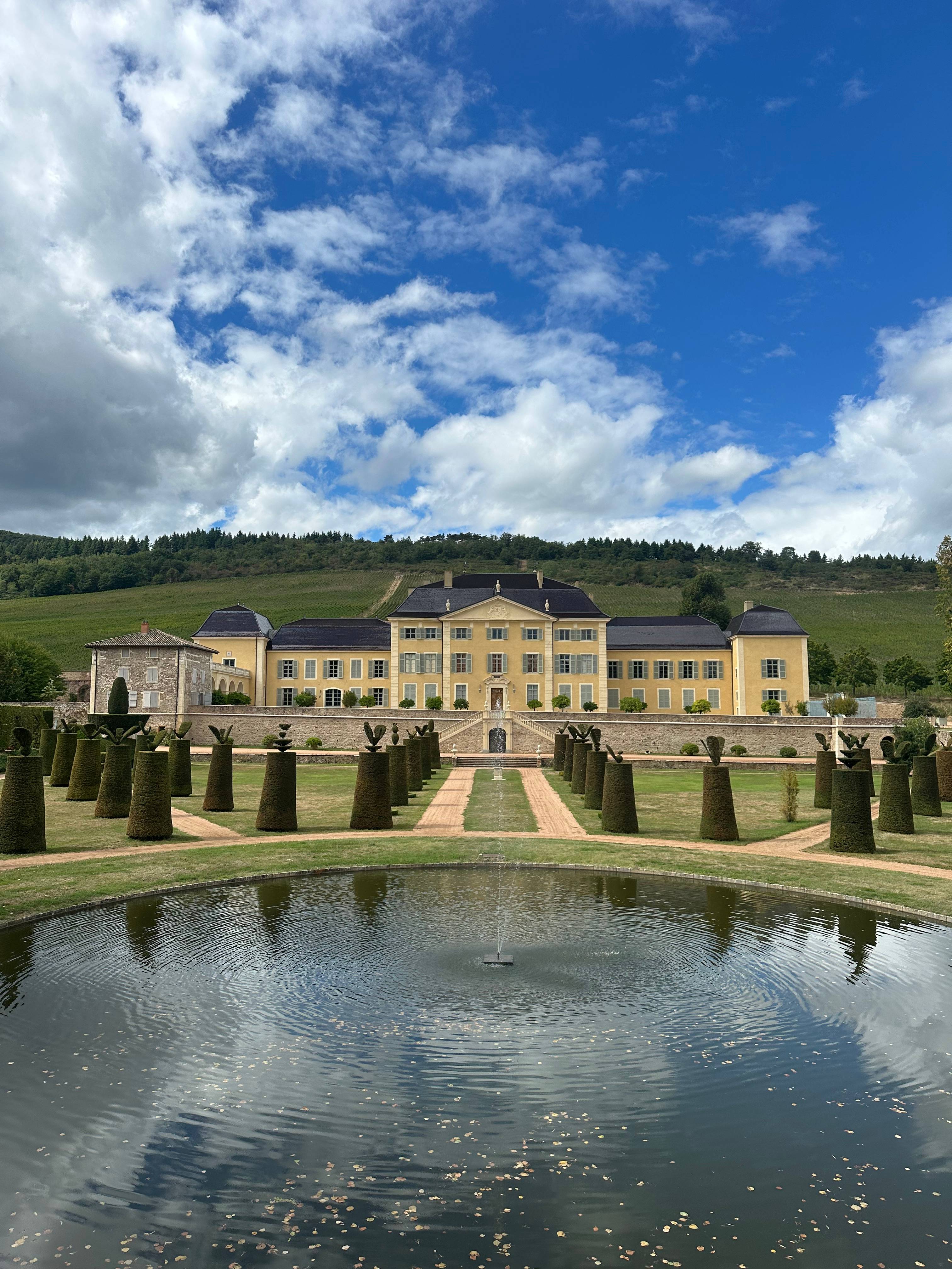 Visit of the estate and tasting of 3 wines