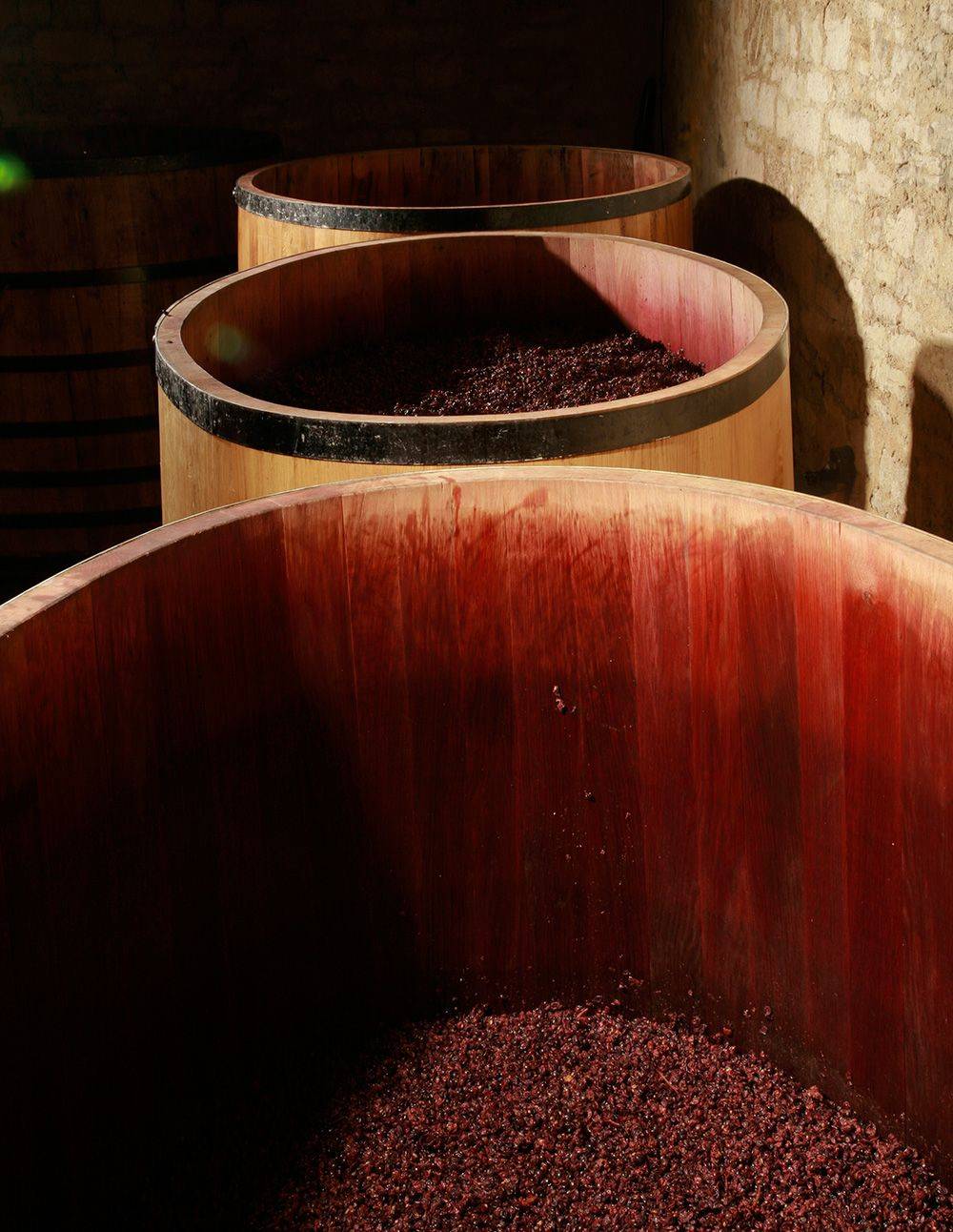 Visit and tasting of 7 wines
