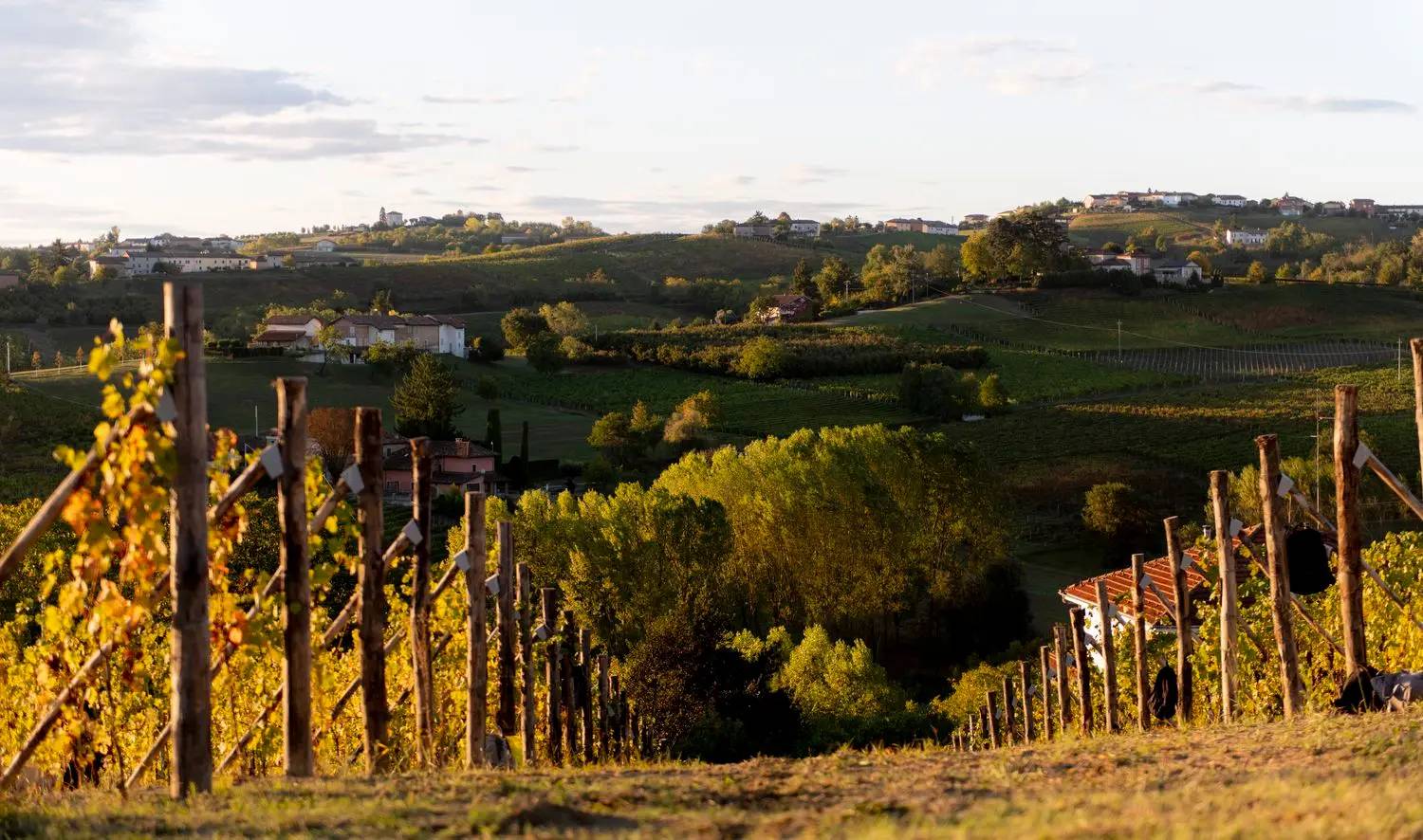 asti - Visiter Asti : Capitale viticole du Piémont en Italie - 2025 - 17