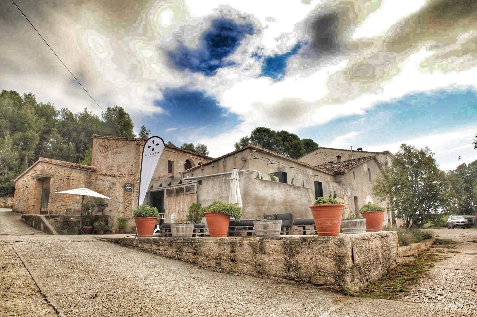 Vins El Cep - Winalist