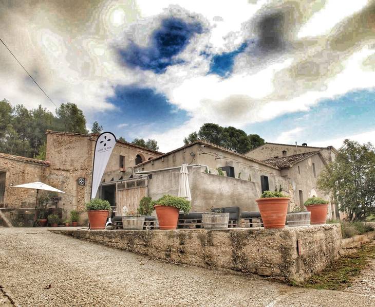 Alella Visitar bodegas en alella | Arsecultur.com