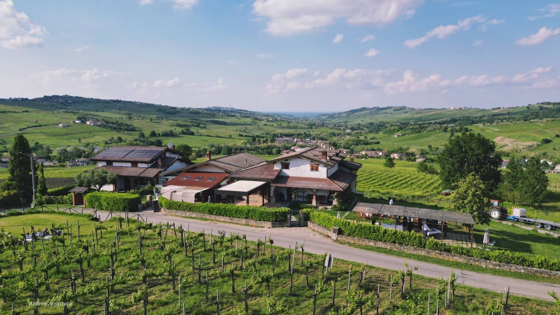 Calatroni Vini - Winalist