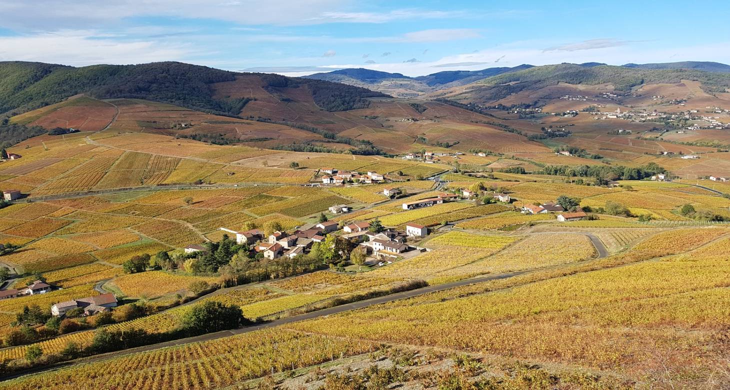 Beaujolais Wine Map: Guide to the Crus, Vineyards and Appellations - 2026 - 17 - beaujolais wine route,beaujolais wine map beaujolais wine route,beaujolais wine map - Beaujolais Wine Map: Guide to the Crus, Vineyards and Appellations - 2026 - 16