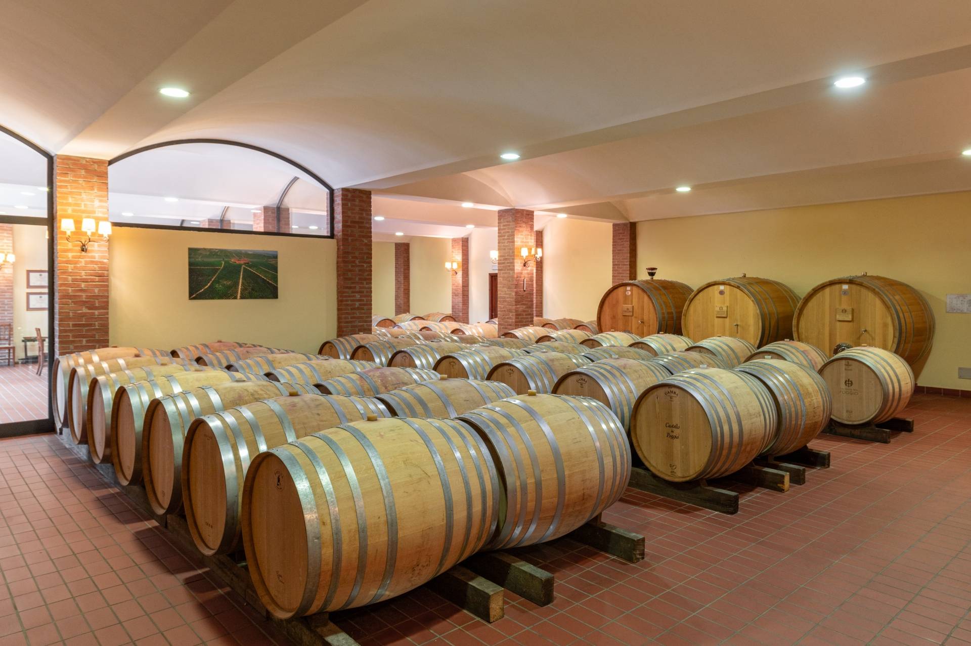 Barbera Wine Maker Experience