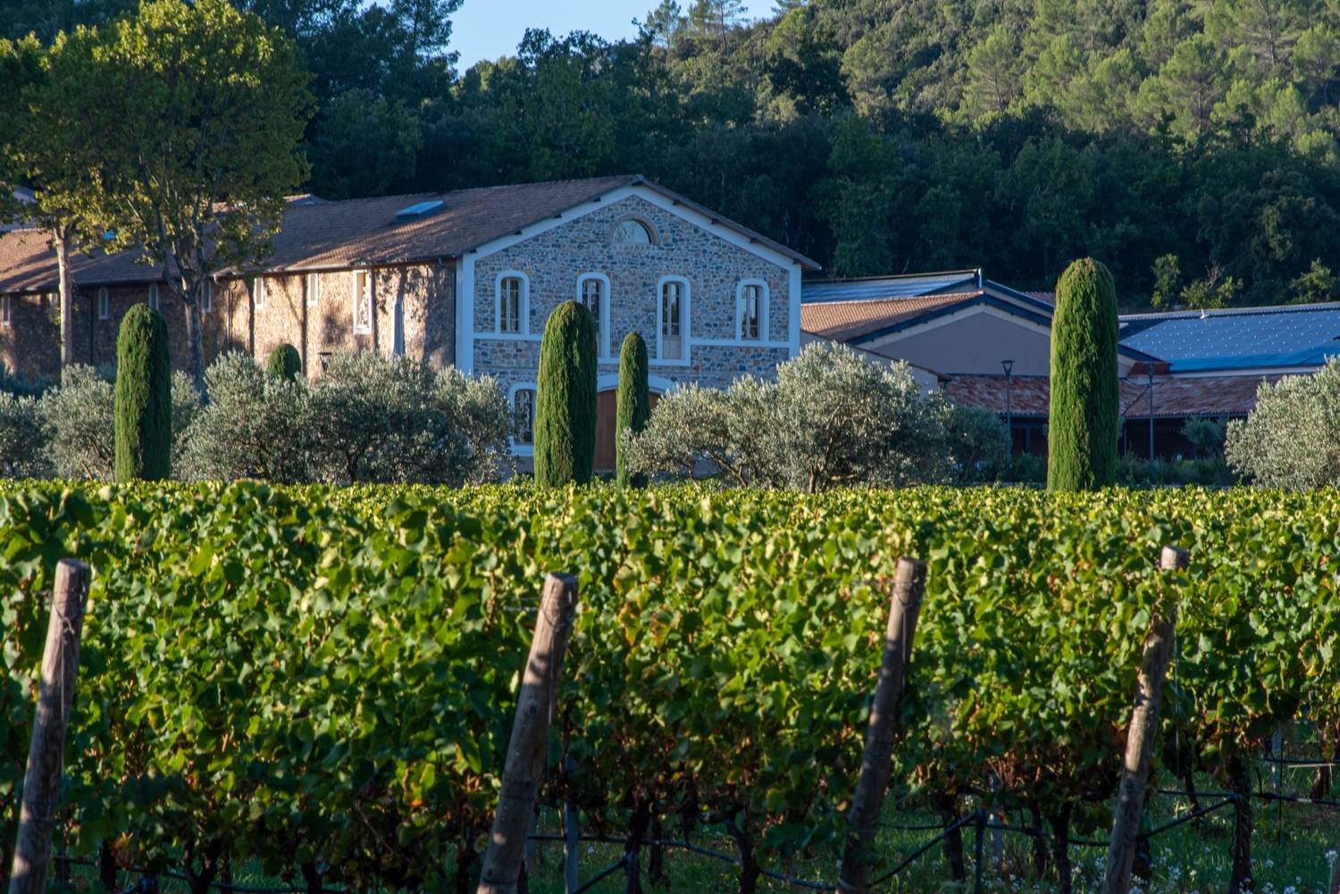 Top 10 châteaux viticoles en Provence à visiter cet été - 2026 - 12 - châteaux viticoles provence châteaux viticoles provence - Top 10 châteaux viticoles en Provence à visiter cet été - 2026 - 11