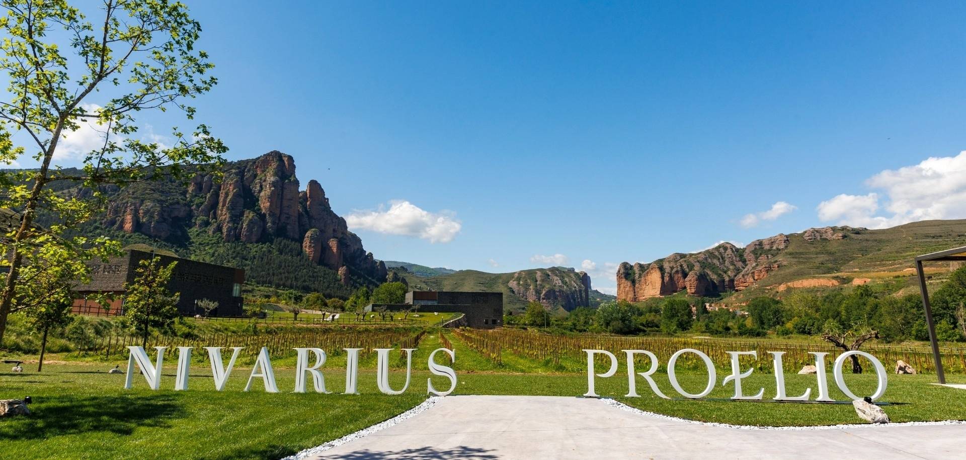 Palacios Vinos de Finca - Winalist