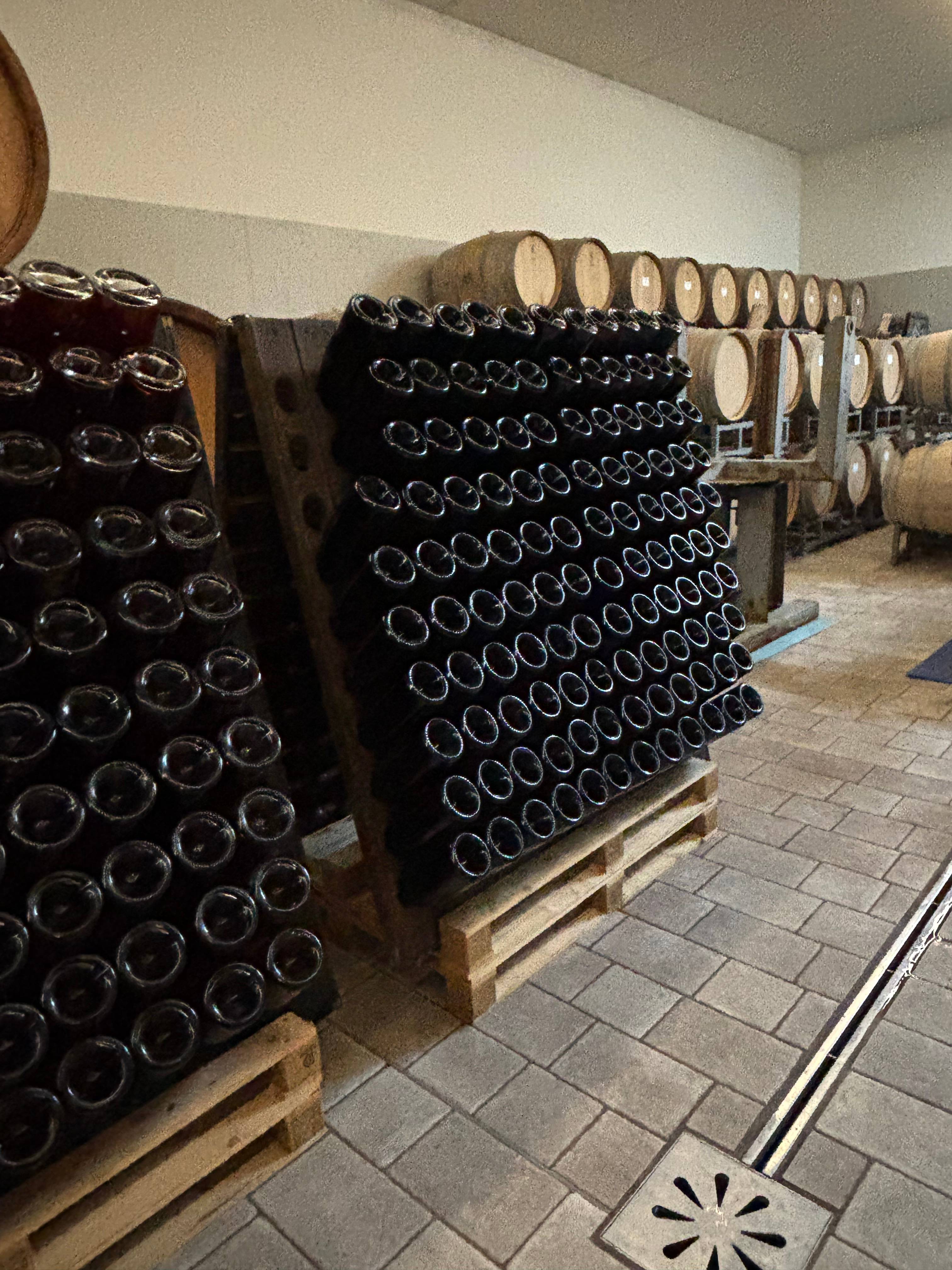 Visite entre les fûts et les vignes avec dégustation de 5 vins