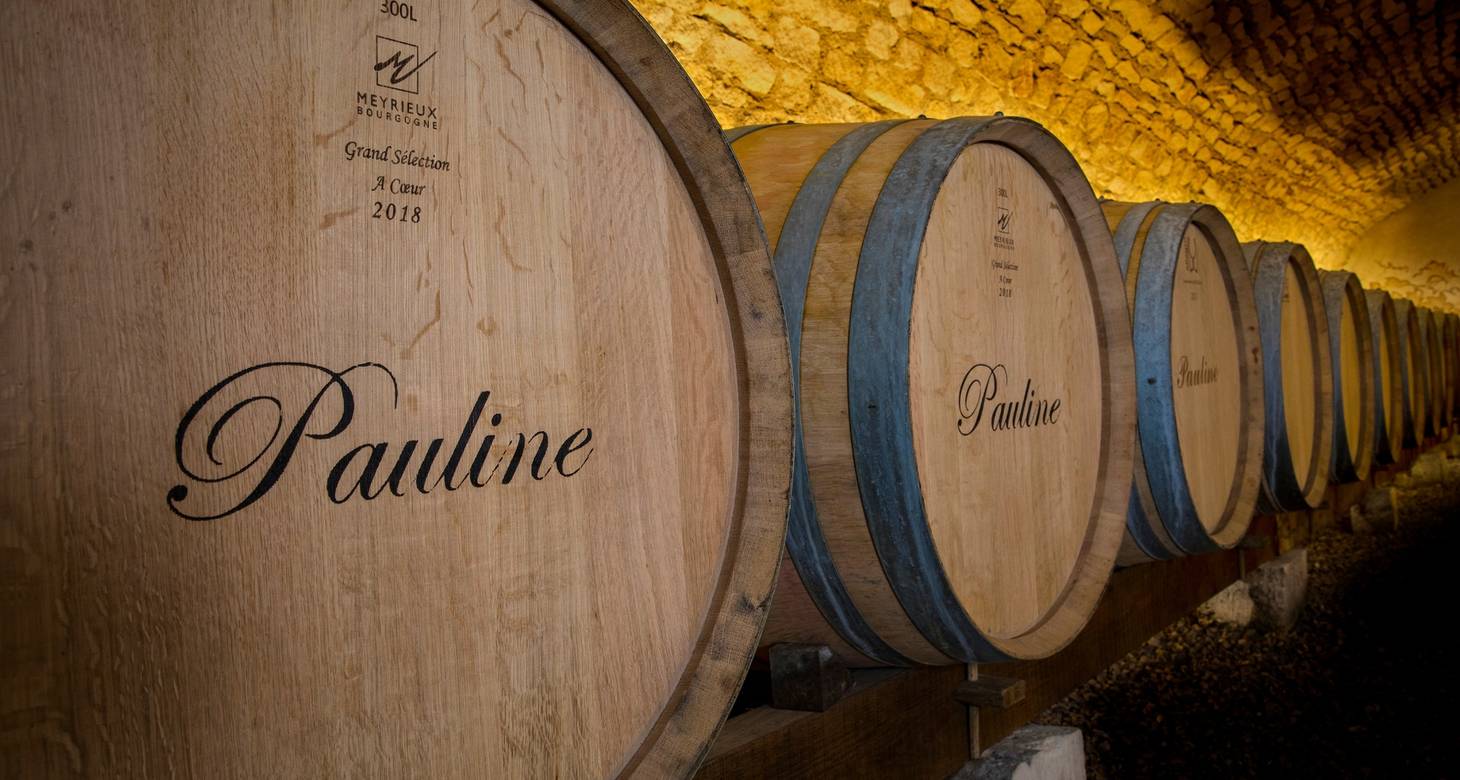 Loire Valley wine map: Uncover the famous wine region - 2026 - 43 - Loire valley wine map Loire valley wine map - Loire Valley wine map: Uncover the famous wine region - 2026 - 42