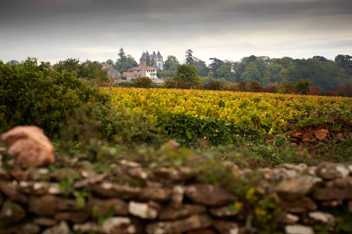 Au Cœur des Grands Vins de la Côte Chalonnaise