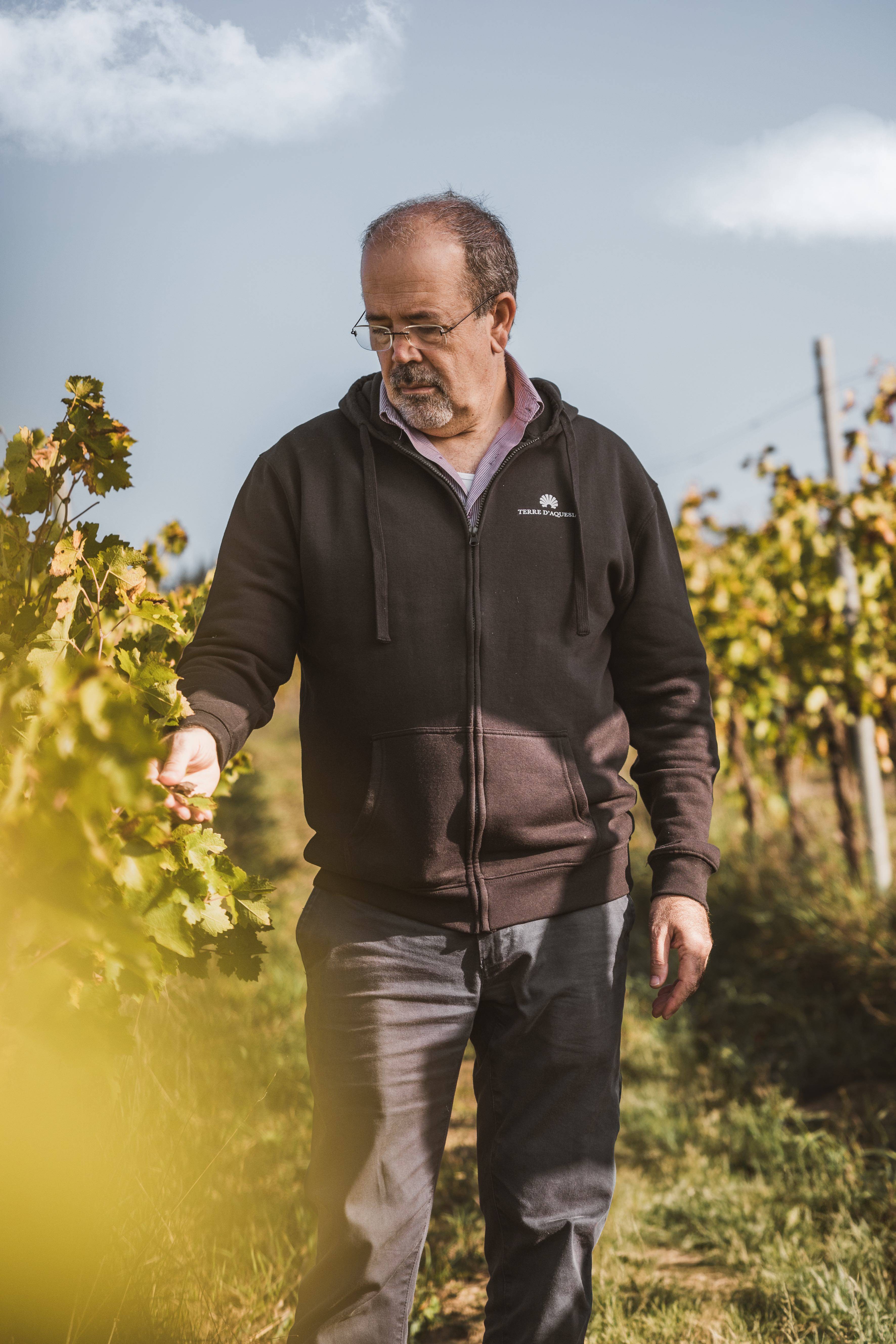 Tour in Vigna e Degustazione di Grandi Rossi