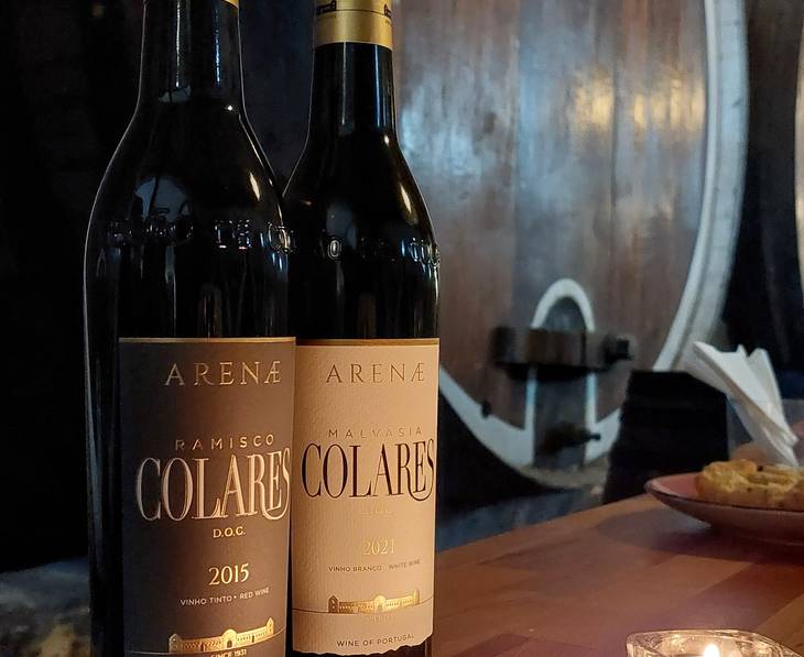 Adega Regional De Colares Tour & Tasting 2026 ⭐️ Book your Visit Now!