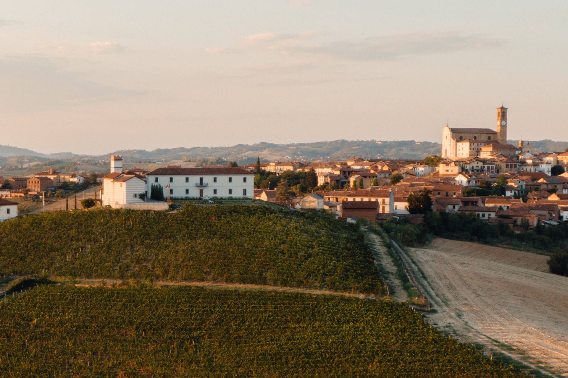 Prediomagno  - Winalist