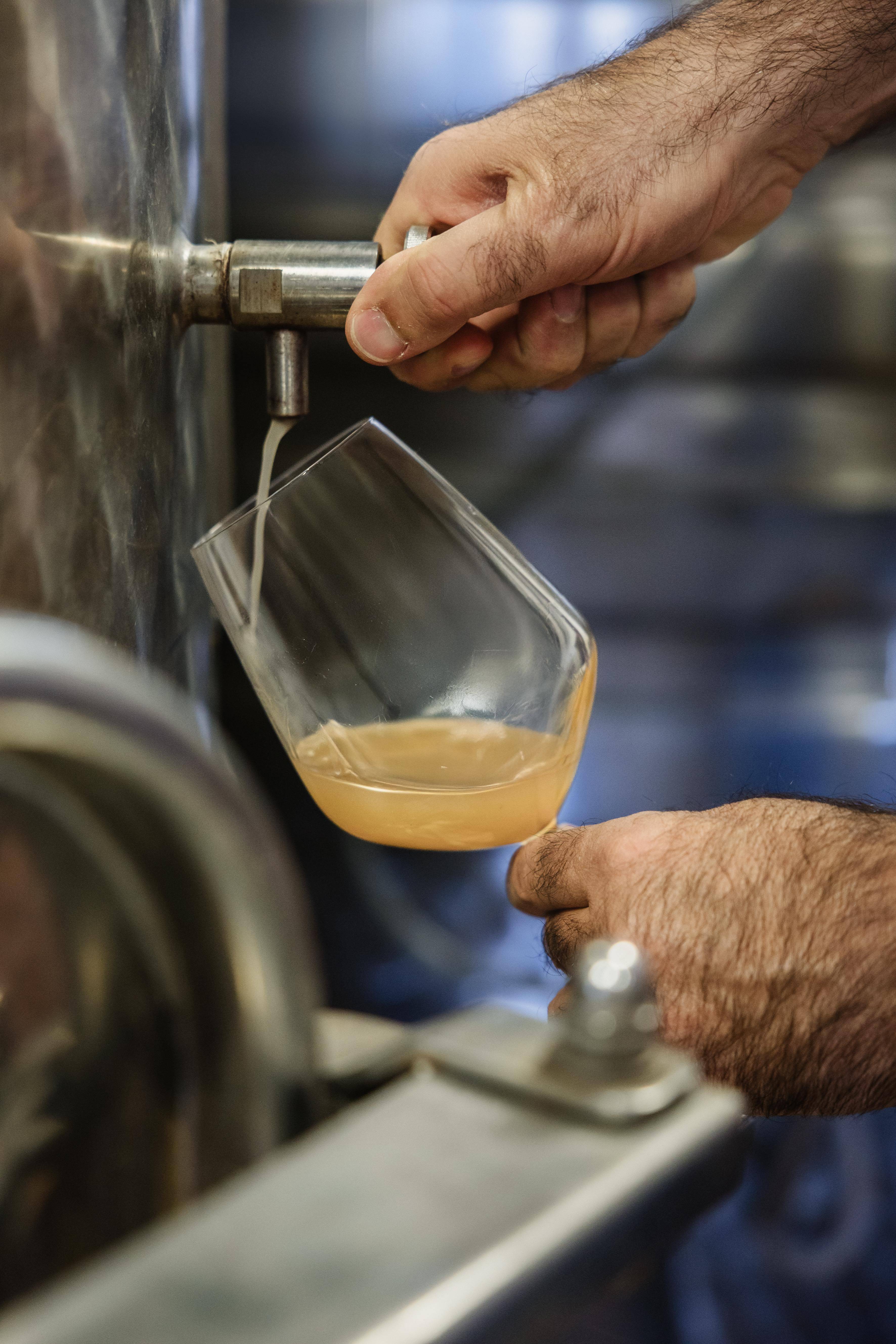 Vini Naturali e Musica Jazz: Tour e Tasting