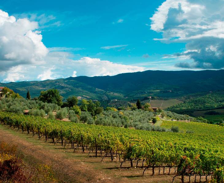 Greve in Chianti Wineries ⭐️ BEST Tours Tastings 2025